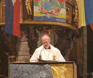 veglia missionaria vigevano